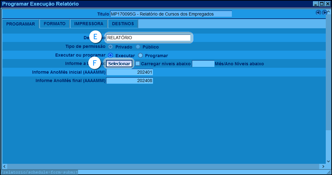 imagem da opção programar execução relatório, com as opções na aba programar. Destacados o campo de descrição do relatório e o botão de selecionar do item informe a lotação.